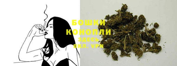 сатива Липки