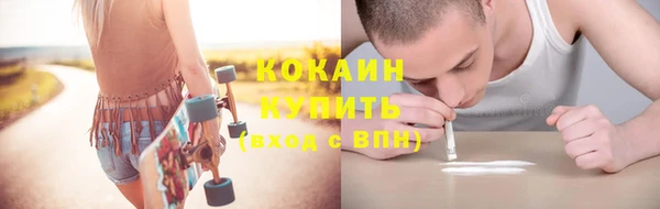 сатива Липки