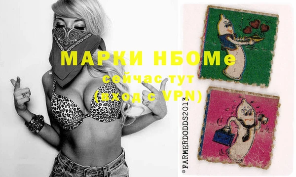 сатива Липки