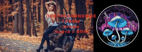 сатива Липки