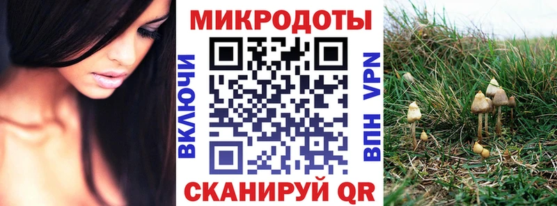 Псилоцибиновые грибы Cubensis  купить наркотик  Дубовка 